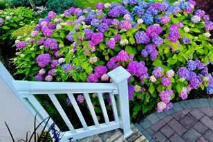 85 Lorelei Dr, Howell Township, NJ 07731 - Photo 3