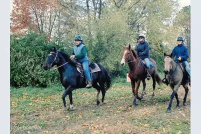 14 Homestead Lane, Roosevelt, NJ 08555 - Photo 17