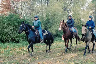 14 Homestead Ln, Roosevelt, NJ 08555 - Photo 17