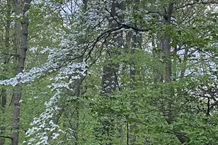 25 Dellwood Ct, Middletown, NJ 07748 - Photo 31