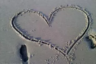 1238 Lakewood Rd, Manasquan, NJ 08736 - Photo 37