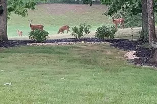 46 Morning Glory Ln, Whiting, NJ 08759 - Photo 39