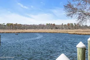 908 Shenandoah Dr, Forked River, NJ 08731 - Photo 59