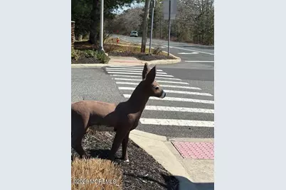 13B Walnut Road, Manahawkin, NJ 08050 - Photo 35