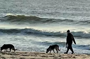 709 Ocean Ave N, Avon by the Sea, NJ 07717 - Photo 9