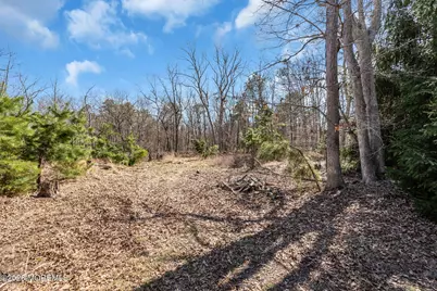 330 Thomas Avenue, Little Egg Harbor, NJ 08087 - Photo 59