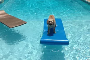 19 Peach Tree Rd, Oakhurst, NJ 07755 - Photo 5