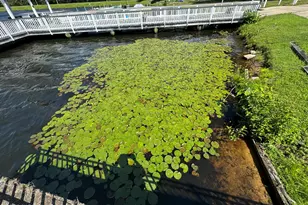 699A Plymouth Dr, Lakewood, NJ 08701 - Photo 43