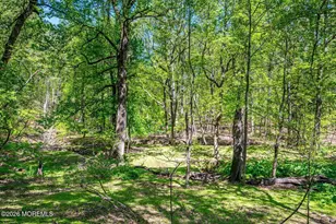 87 Queensbury Ct, Morganville, NJ 07751 - Photo 63