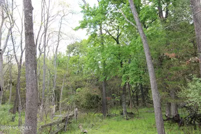 6 Evergreen Drive, Jackson, NJ 08527 - Photo 13