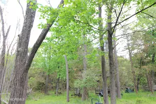 6 Evergreen Dr, Jackson, NJ 08527 - Photo 11