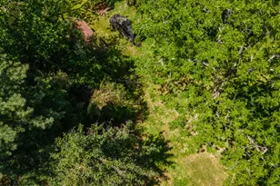 6 Evergreen Dr, Jackson, NJ 08527 - Photo 25