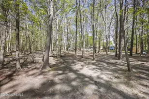 356 Leesville Rd, Jackson, NJ 08527 - Photo 41