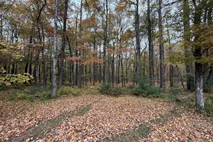 13 Palmer Cir, Millstone Township, NJ 08535 - Photo 79