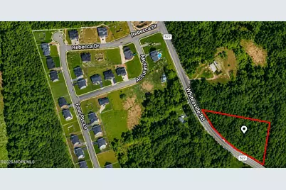 Lakehurst Whitesville Road, Jackson, NJ 08527 - Photo 1
