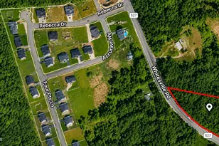 Lakehurst Whitesville Rd, Jackson, NJ 08527 - Photo 1