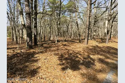 17 Pinewood Drive, Little Egg Harbor, NJ 08087 - Photo 3