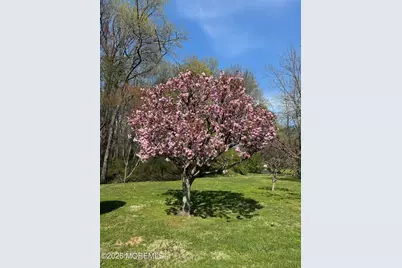 31 Bordentown Chesterfield Road, Chesterfield, NJ 08515 - Photo 49