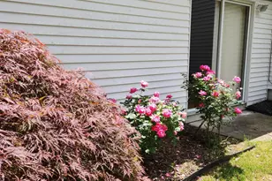 281 Center St, Little Egg Harbor, NJ 08087 - Photo 39
