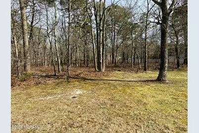 20 Pinewood Drive, Little Egg Harbor, NJ 08087 - Photo 1