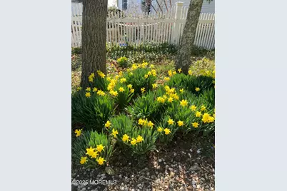 408 N Main Street, Barnegat, NJ 08005 - Photo 33