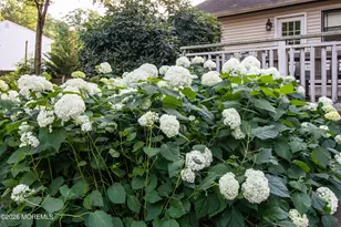 7 McElroy Dr, Lincroft, NJ 07738 - Photo 39