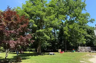 729 Wayside Rd, Neptune Township, NJ 07753 - Photo 11