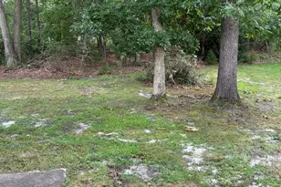 239 B Columbine Ave, Whiting, NJ 08759 - Photo 17