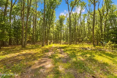 172 Bennetts Mills Road, Jackson, NJ 08527 - Photo 27