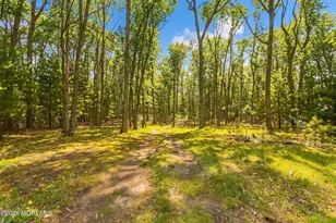 172 Bennetts Mills Rd, Jackson, NJ 08527 - Photo 27