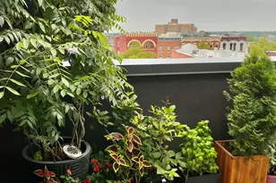 23 Wallace St, Red Bank, NJ 07701 - Photo 19