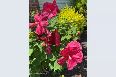 174 Statesir Place, Red Bank, NJ 07701 - Photo 41