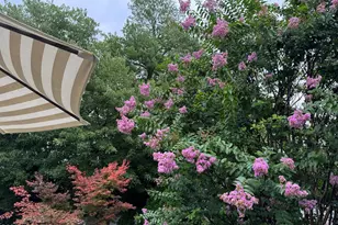 174 Statesir Pl, Red Bank, NJ 07701 - Photo 37