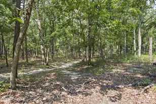 470 Basso St, Jackson, NJ 08527 - Photo 41