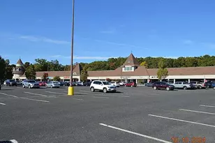14 Homestead Ln, Roosevelt, NJ 08555 - Photo 29