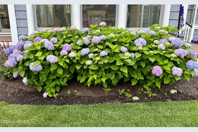 102 4th Avenue, Sea Girt, NJ 08750 - Photo 37