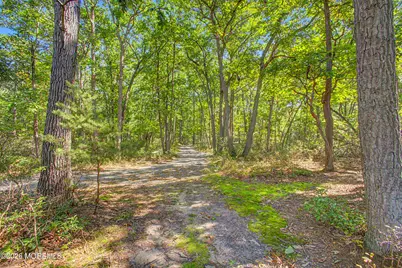 46 Hopkins Road, New Egypt, NJ 08533 - Photo 47