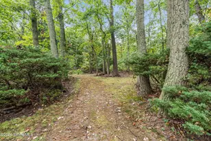 2238 Ramshorn Dr, Allenwood, NJ 08720 - Photo 79
