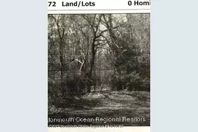 0 Hominy Hill Road, Colts Neck Township, NJ 07722 - Photo 1