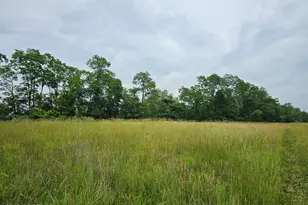 45 Hill Rd, Allentown, NJ 08501 - Photo 1