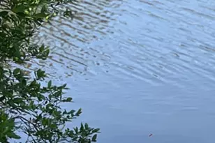 239D Huntington Dr, Lakewood, NJ 08701 - Photo 1