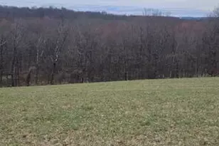 0 County Road 519, Wantage, NJ 07461 - Photo 1