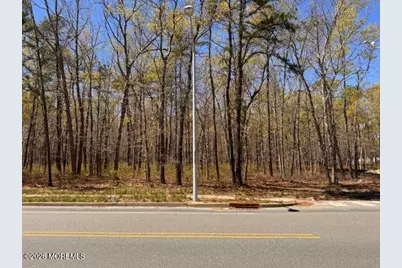 0 Newark Avenue, Forked River, NJ 08731 - Photo 1