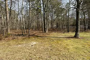 18 Pinewood Dr, Little Egg Harbor, NJ 08087 - Photo 1