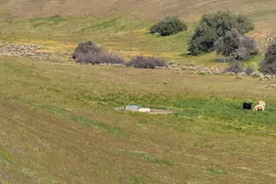 8300 Foothill Rd, New Cuyama, CA 93254 - Photo 19