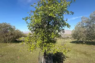 8300 Foothill Rd, New Cuyama, CA 93254 - Photo 17