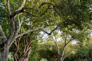 4450 Via Alegre, Santa Barbara, CA 93110 - Photo 33