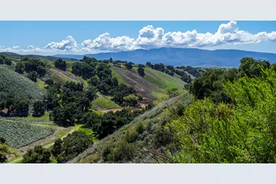 3550 Live Oak Rd. Road, Santa Ynez, CA 93460 - Photo 29