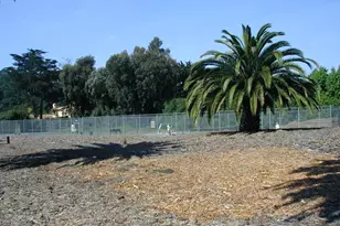 4517 Vieja Dr, Santa Barbara, CA 93110 - Photo 41