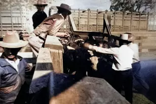 3173 Roblar Ave, Santa Ynez, CA 93460 - Photo 35